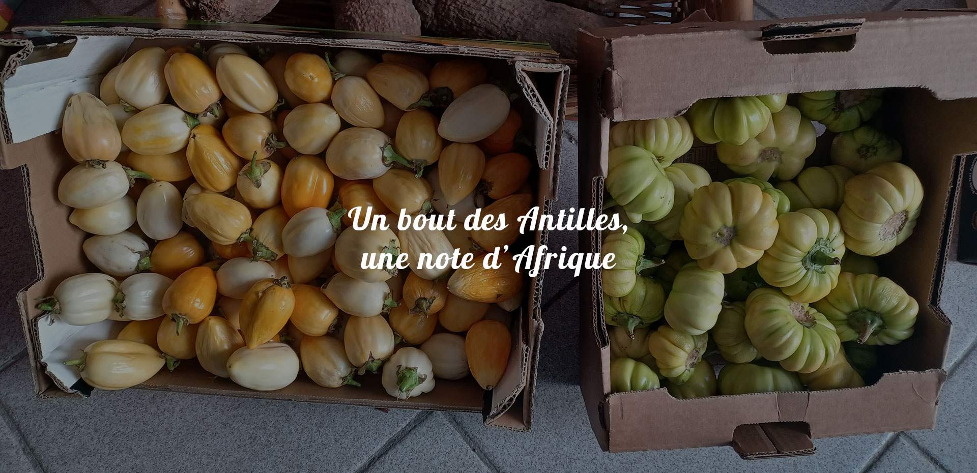 Épicerie antillaise à Toul Épicerie antillaise à Toul