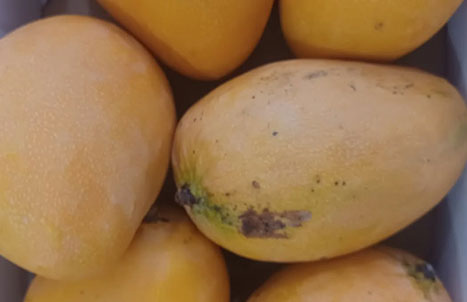 Épicerie antillaise à Toul